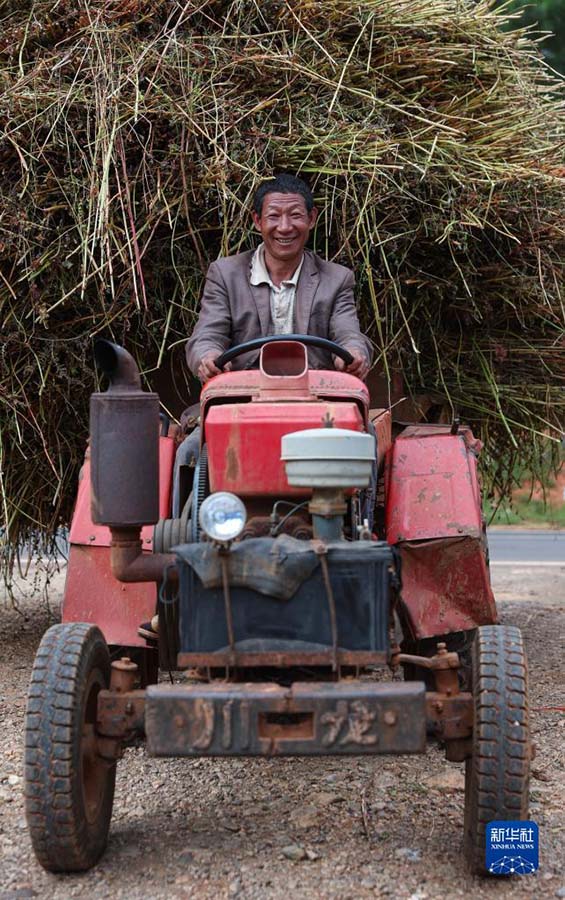 ?ытай Т?ра?асы фермерлерд?? ег?н жинау фестивал?не ысты? ы?ыласты с?лем?н жолдады