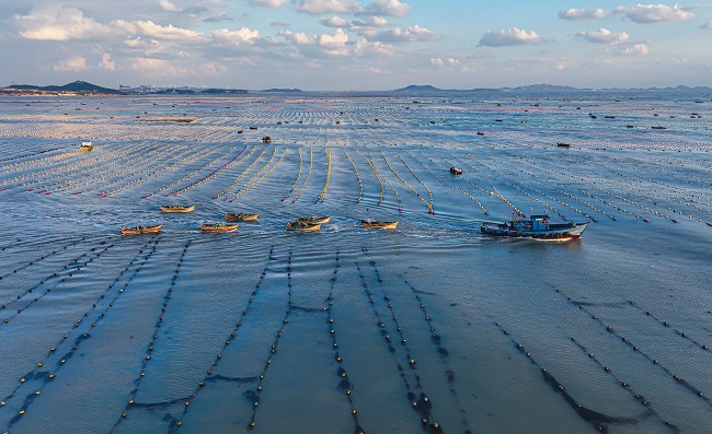 Шаньдон Рончен: Те??здег? та??ы ?арбалас