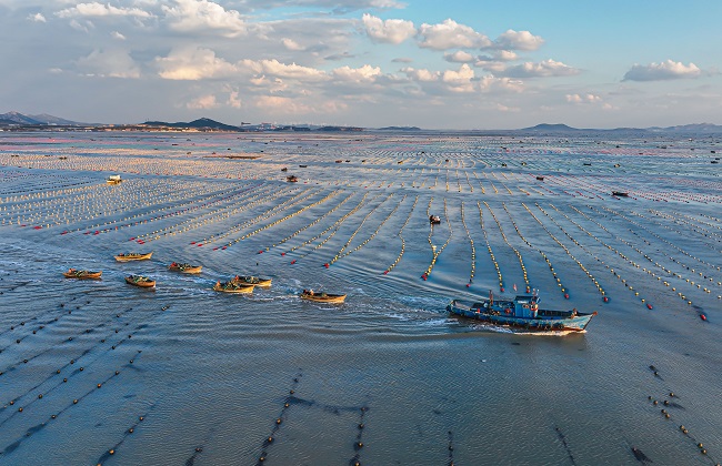 Шаньдон Рончен: Те??здег? та??ы ?арбалас