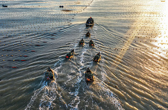 Шаньдон Рончен: Те??здег? та??ы ?арбалас
