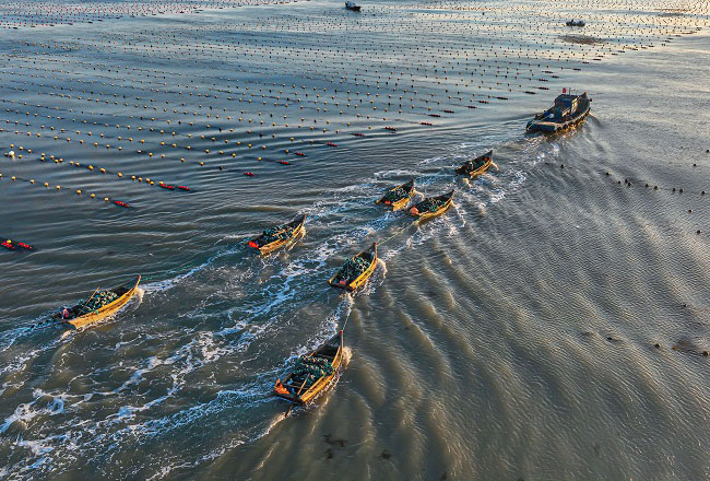 Шаньдон Рончен: Те??здег? та??ы ?арбалас