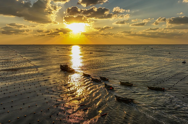 Шаньдон Рончен: Те??здег? та??ы ?арбалас