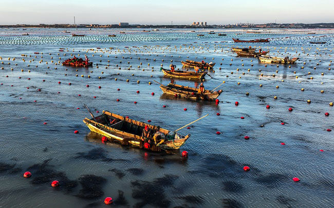 Шаньдон Рончен: Те??здег? та??ы ?арбалас