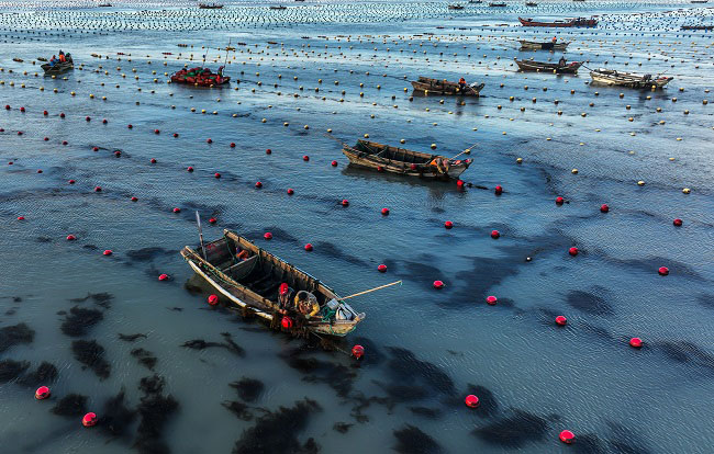 Шаньдон Рончен: Те??здег? та??ы ?арбалас
