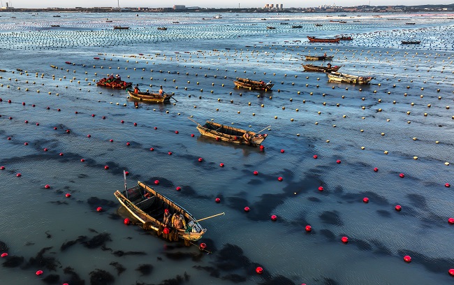 Шаньдон Рончен: Те??здег? та??ы ?арбалас