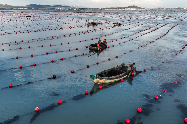 Шаньдон Рончен: Те??здег? та??ы ?арбалас