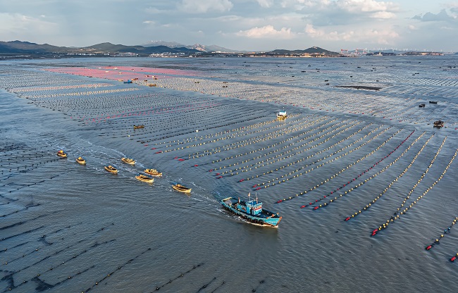 Шаньдон Рончен: Те??здег? та??ы ?арбалас