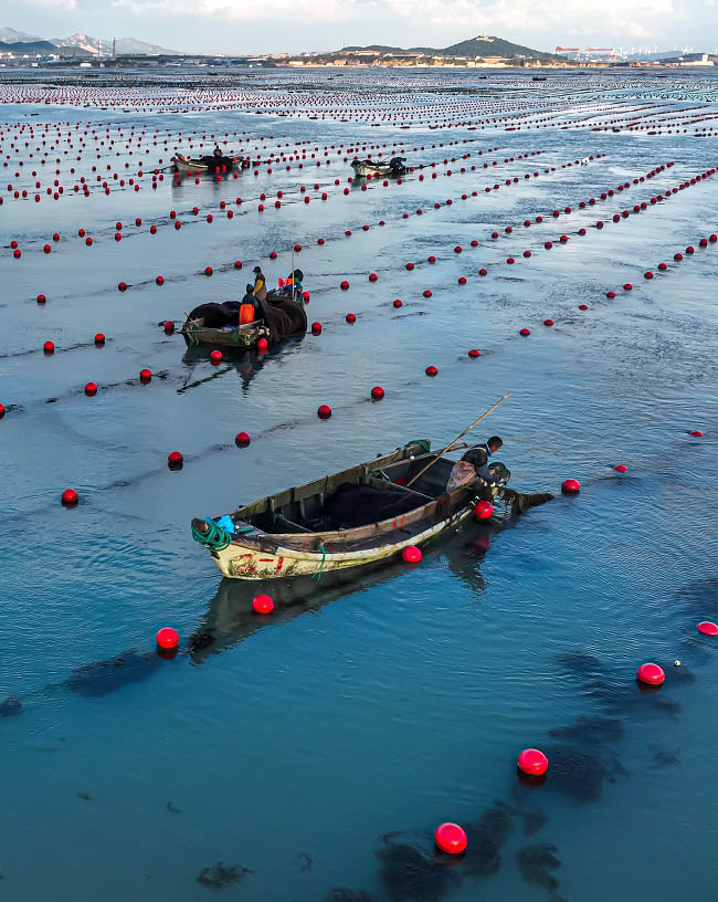 Шаньдон Рончен: Те??здег? та??ы ?арбалас