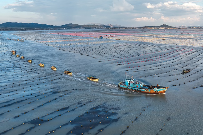 Шаньдон Рончен: Те??здег? та??ы ?арбалас
