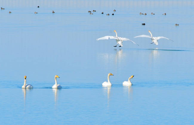 Ганьсуды? А?сайына топтала ?ш?ан жыл ??стары