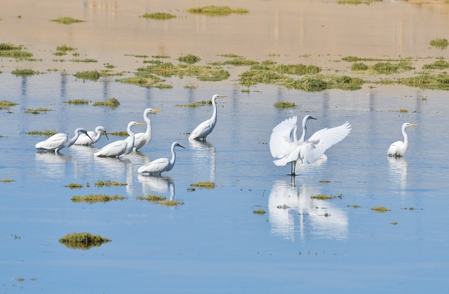 Ганьсуды? А?сайына топтала ?ш?ан жыл ??стары