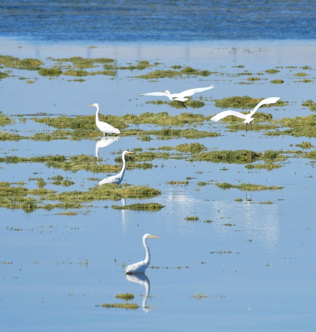 Ганьсуды? А?сайына топтала ?ш?ан жыл ??стары