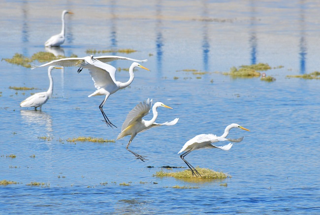 Ганьсуды? А?сайына топтала ?ш?ан жыл ??стары