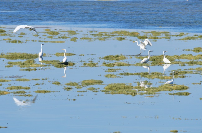 Ганьсуды? А?сайына топтала ?ш?ан жыл ??стары