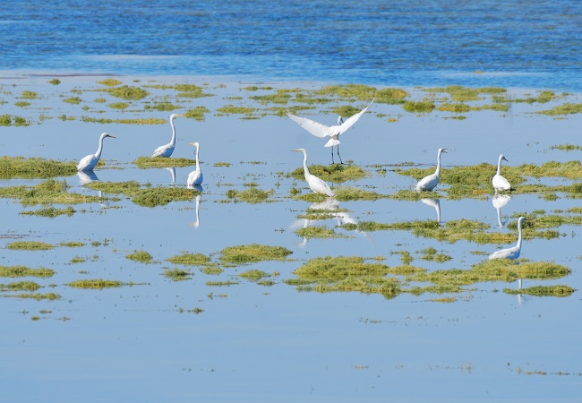 Ганьсуды? А?сайына топтала ?ш?ан жыл ??стары