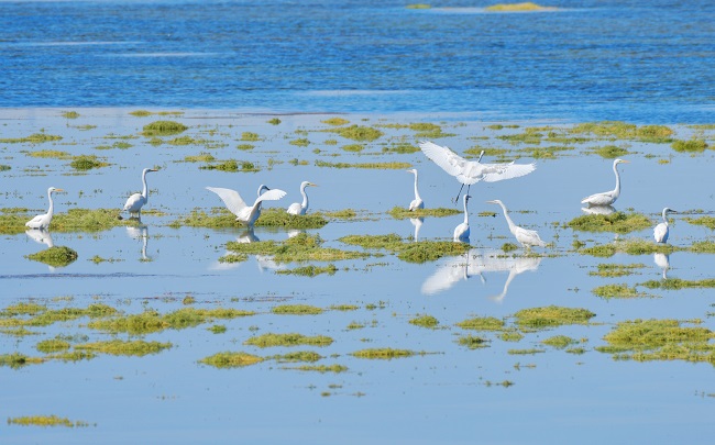 Ганьсуды? А?сайына топтала ?ш?ан жыл ??стары