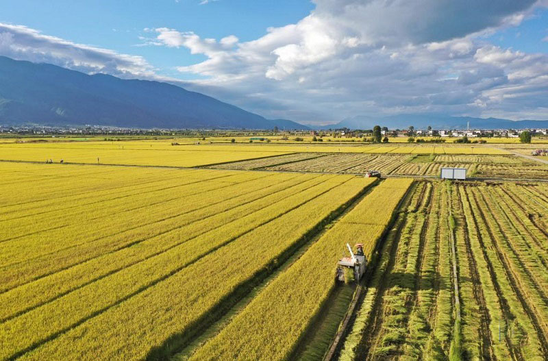 Алтын к?здег? атызымызда?ы мол ?н?м