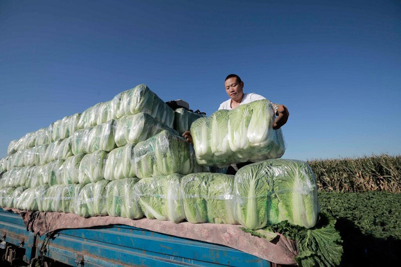 Алтын к?здег? атызымызда?ы мол ?н?м