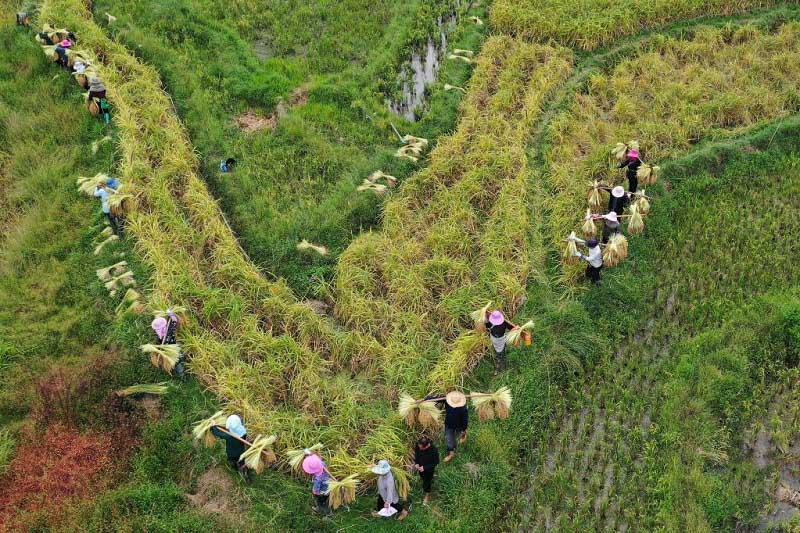 Алтын к?здег? атызымызда?ы мол ?н?м