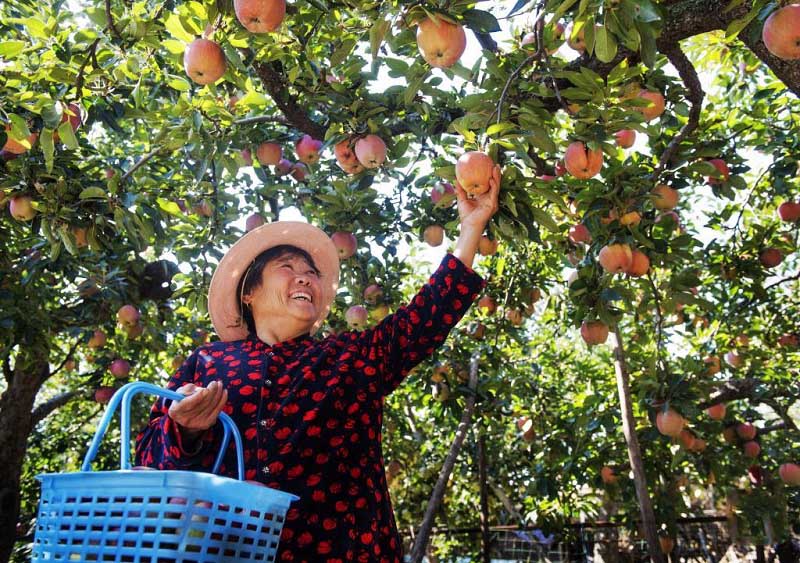 Алтын к?здег? атызымызда?ы мол ?н?м