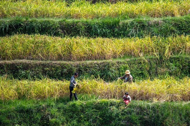 Алтын к?здег? атызымызда?ы мол ?н?м