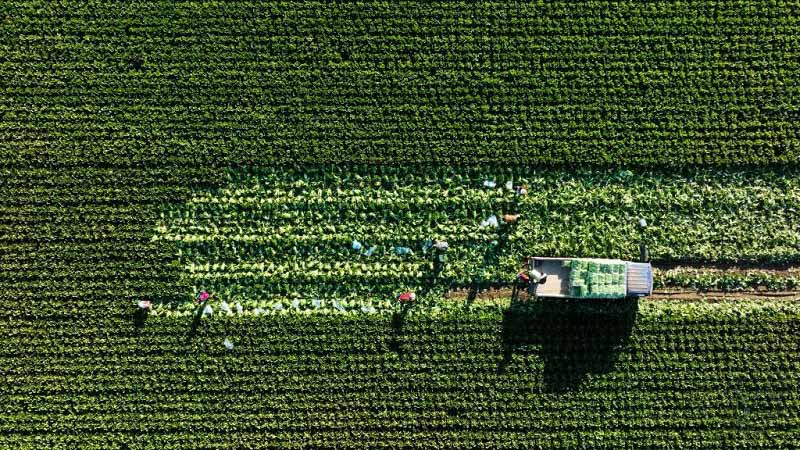 Алтын к?здег? атызымызда?ы мол ?н?м