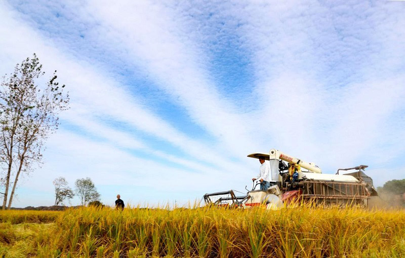 Алтын к?здег? атызымызда?ы мол ?н?м