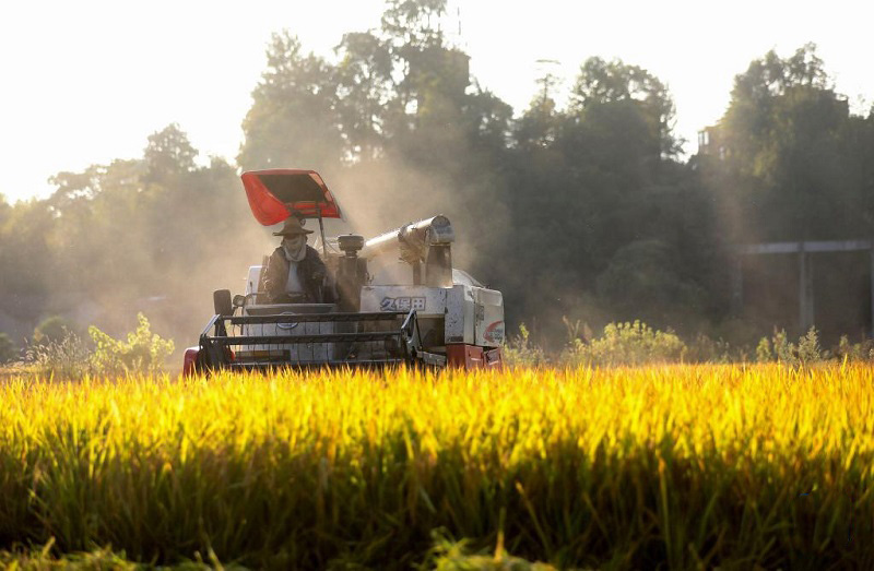 Алтын к?здег? атызымызда?ы мол ?н?м