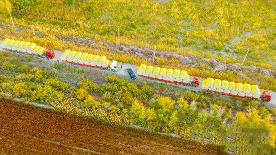 Шы?жа?ны? ?арамай ?аласы ма?та жинауды? е? ?ауырт мезг?л?не ?тт?