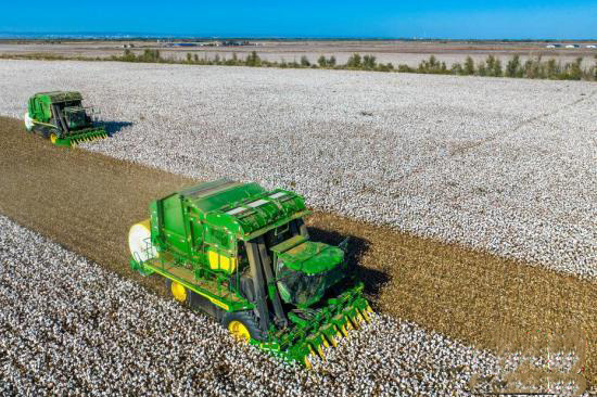 Шы?жа?ны? ?арамай ?аласы ма?та жинауды? е? ?ауырт мезг?л?не ?тт?