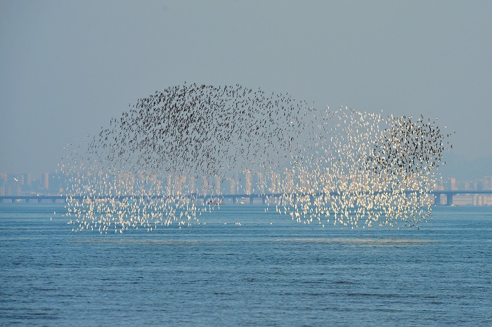 Б?р топ жыл ??стары Шаньдунны? Циндао ?аласы ма?ына жетт?