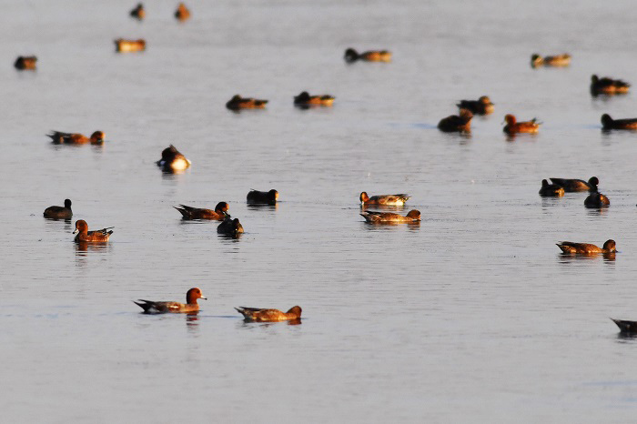 Б?р топ жыл ??стары Шаньдунны? Циндао ?аласы ма?ына жетт?