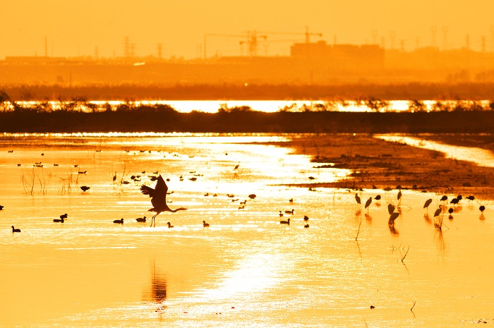 Б?р топ жыл ??стары Шаньдунны? Циндао ?аласы ма?ына жетт?