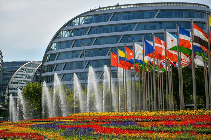 ?ытайды? 5-?нш? халы?аралы? импорт к?рмес?н?? ал?аш?ы экспонаттары ала??а к?рд?