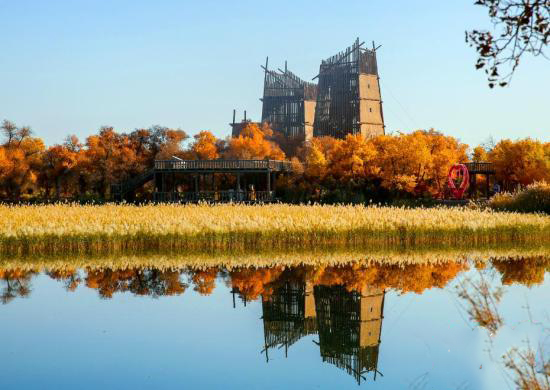 Шы?жа?ны? о?т?ст?г?ндег? байыр?ы тора??ы орманы алтын т?ске малынып, с?улес? суда ойнады