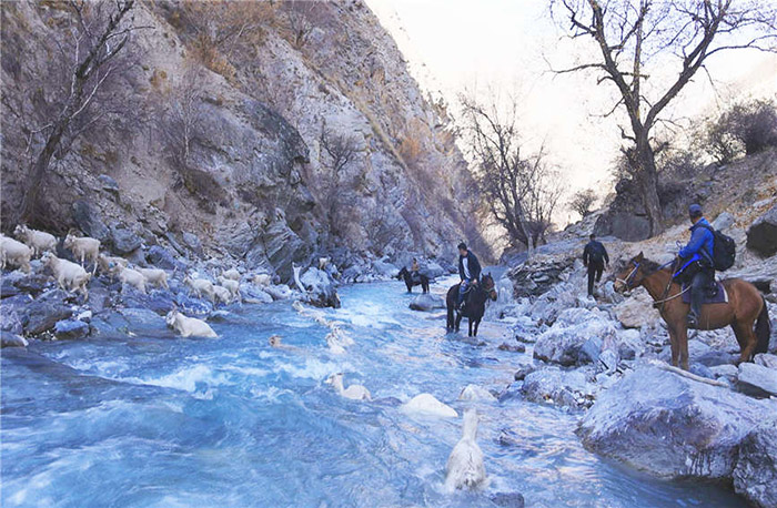 Шы?жа?ны? Текес ауданында?ы малшылар отар?а к?шт?