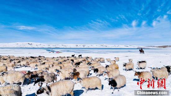 Сары ?зенн?? бастауында?ы Ж?лдыз к?л?