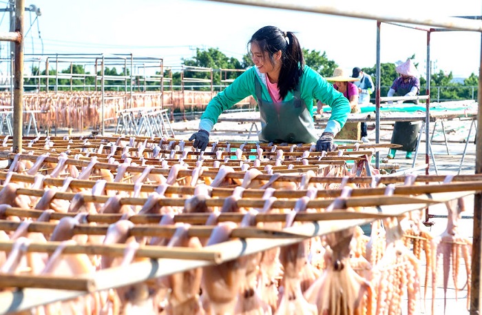 Гуансид?? Бейхайында балы?шылар мол ?н?м алды