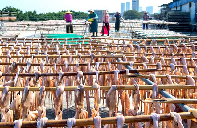 Гуансид?? Бейхайында балы?шылар мол ?н?м алды