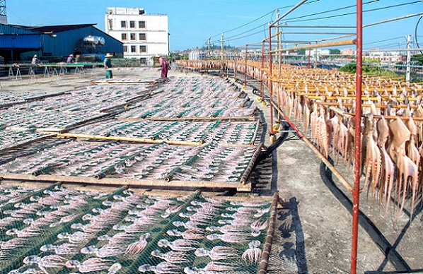 Гуансид?? Бейхайында балы?шылар мол ?н?м алды