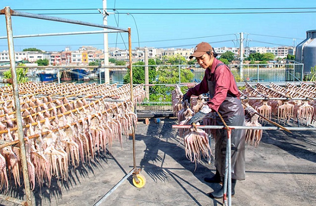 Гуансид?? Бейхайында балы?шылар мол ?н?м алды