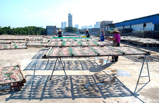 Гуансид?? Бейхайында балы?шылар мол ?н?м алды