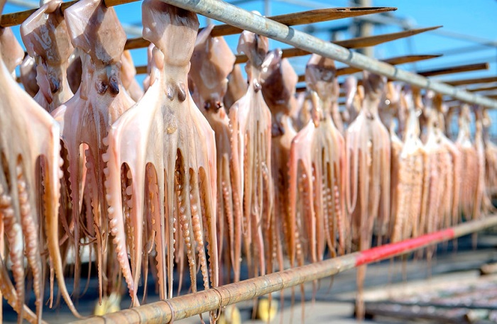 Гуансид?? Бейхайында балы?шылар мол ?н?м алды