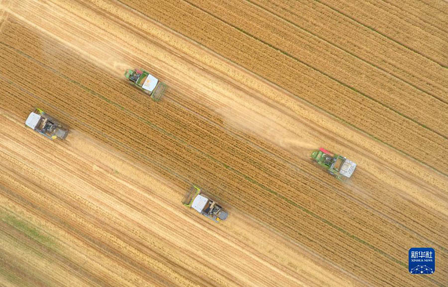 2022 жылы елдег? асты? ?нд?р?с?н?? жалпы к?лем? 686,55 миллиард килограмм?а жетт?