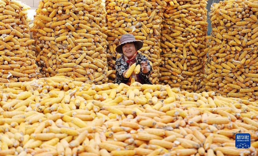 2022 жылы елдег? асты? ?нд?р?с?н?? жалпы к?лем? 686,55 миллиард килограмм?а жетт?