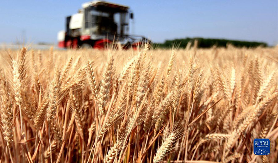 2022 жылы елдег? асты? ?нд?р?с?н?? жалпы к?лем? 686,55 миллиард килограмм?а жетт?