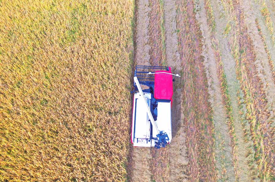 Ауылшаруашылы? атыздарында?ы ?технологиялы? тет?ктер?