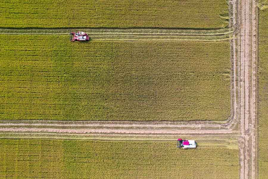 Ауылшаруашылы? атыздарында?ы ?технологиялы? тет?ктер?