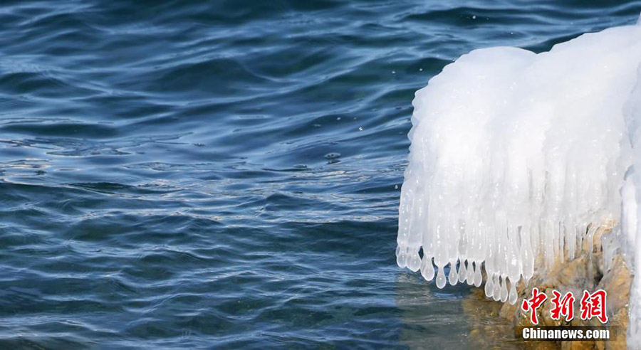 ?ыс?ы Сайрам: к?ркем ?ысты? ерк?н ?м?р?