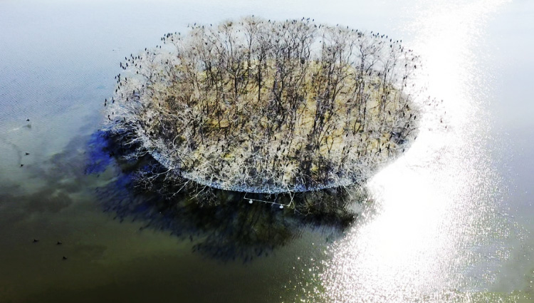 ?ыста Балихэ ?зен? са?асында?ы сымпылдай ?ш?ан ??стар